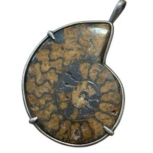 Vintage Ammonite Fossil Pendant No Necklace Brown Silver Jewelry Stone